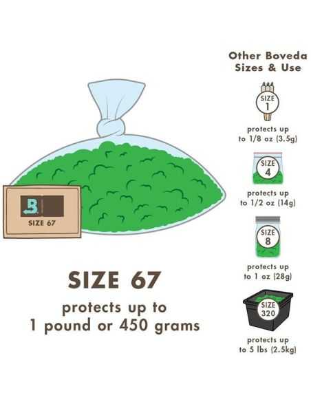 CVAULT BOVEDA 62% 4G