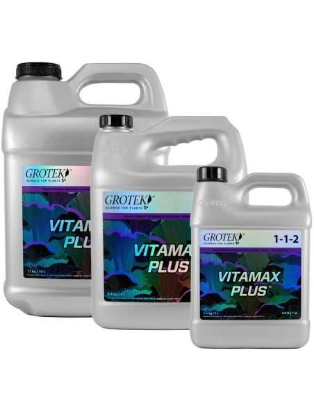 VITAMAX PLUS