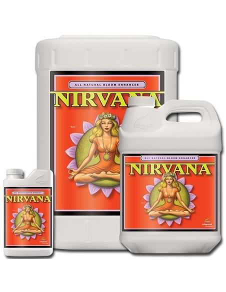 NIRVANA EST. FLORACIÓN