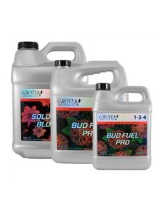 BLOOM FUEL PRO