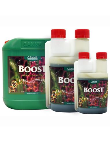 BOOST ACELERATOR CANNA