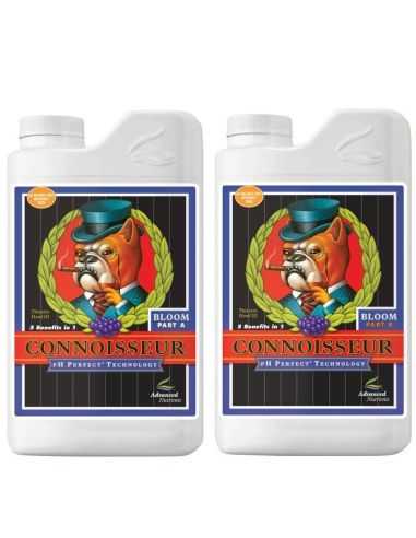 CONNOISSEUR BLOOM A+ B Ph PERFECT