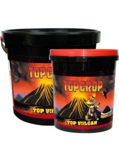 TOP VULCAN TOP CROP