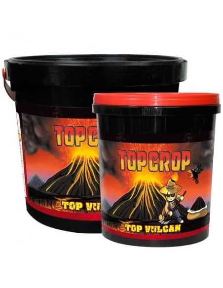 TOP VULCAN TOP CROP