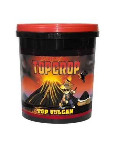TOP VULCAN TOP CROP