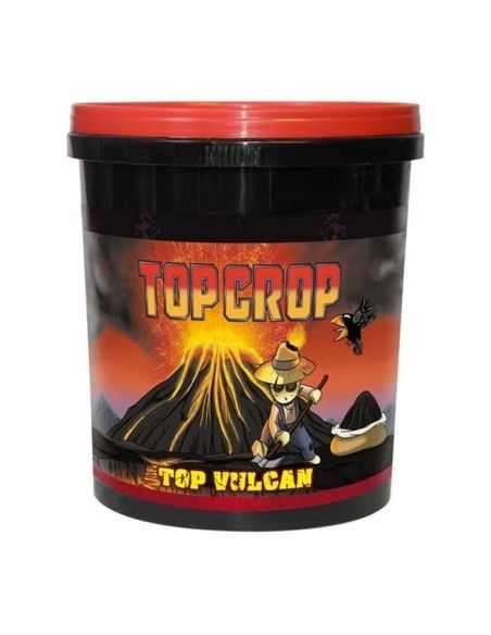 TOP VULCAN TOP CROP