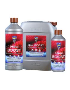 HESI BOOST