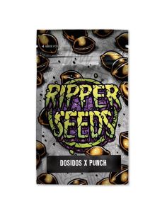 DO-SI-DOS X PURPLE PUNCH RIPPER SEEDS RIPPER SEEDS