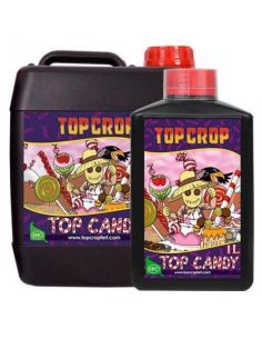 TOP CANDY TOP CROP