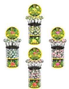 Comprar CANNABIS LOLLY