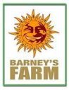 BARNEYS FARM AUTO