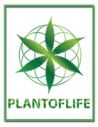 PLANT OF LIFE