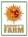 BARNEYS FARM