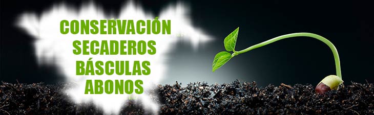 Comprar mecheros Clipper exclusivos