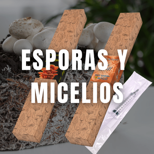 comprar esporas y micelios