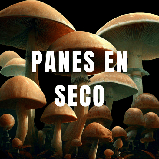 comprar panes en seco