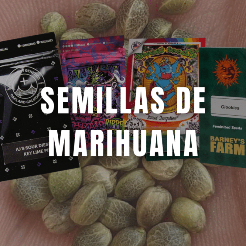 Semillas