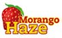 Morango Haze Family Ganjah