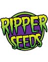 RIPPER SEEDS