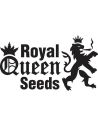 ROYAL QUEEN SEEDS