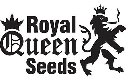 Royal Queen