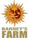 BARNEY'S FARM