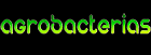 AGROBACTERIAS