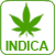 Indica